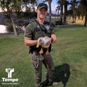 Image post by @tempeparksandrec on Instagram