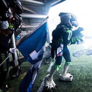 Image post by @blitztheseahawk on Instagram