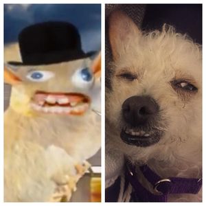 Image post by @nikkiglaser on Instagram