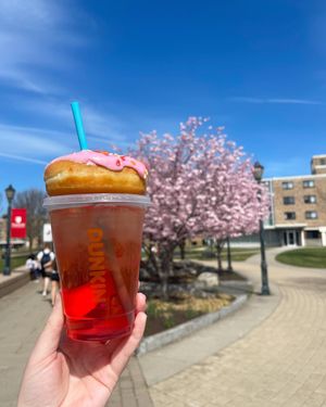 Image post by @fairfieldu on Instagram