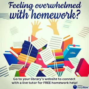 Image post by @stjohnscountylibrary on Instagram