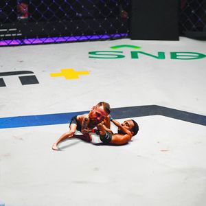 Image post by @pflmma on Instagram