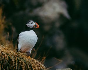 Image post by @martemedia on Instagram