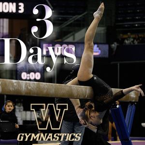 Image post by @uwgymnastics on Instagram