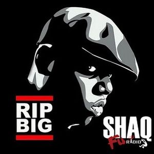 Image post by @shaq on Instagram