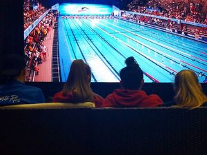 Image post by @arenausa on Instagram