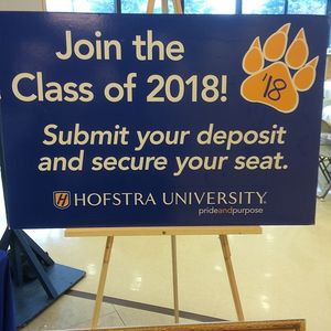 Image post by @hofstrau on Instagram