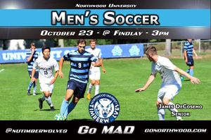 Image post by @nutimberwolves on Instagram