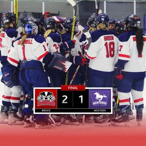 Image post by @brockbadgers on Instagram