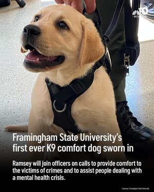 Image post by @nbc10boston on Instagram