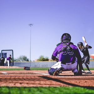 Image post by @mlb.mini on Instagram