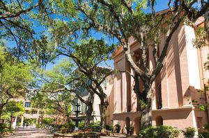 Image post by @collegeofcharleston on Instagram