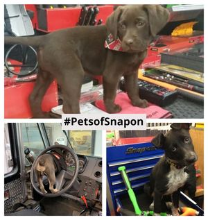 Image post by @snapon_official on Instagram
