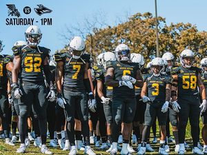 Image post by @mwsugriffons on Instagram