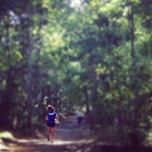 Image post by @hofstratrackxc on Instagram