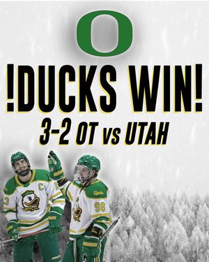 Image post by @uohockey on Instagram