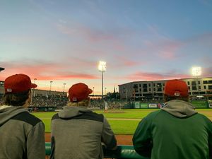 Image post by @tincaps on Instagram