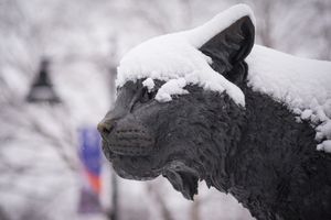 Image post by @uofnh on Instagram