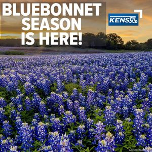 Image post by @kens5 on Instagram