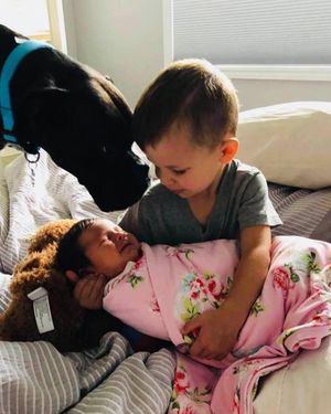 Image post by @rowannewstadtrealestate on Instagram