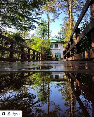 Image post by @fgcu_xc on Instagram