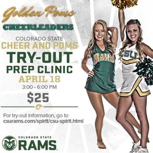 Image post by @csugoldenpoms on Instagram