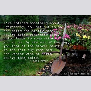 Image post by @kidsgardening on Instagram