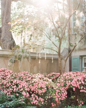 Image post by @collegeofcharleston on Instagram