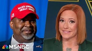 Video post by @msnbc on YouTube
