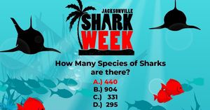Image post by @jaxsharks on Instagram