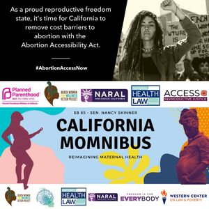 Image post by @reproforallca on Instagram
