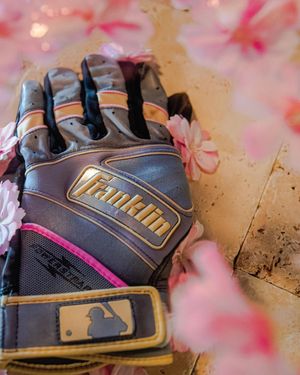 Image post by @franklinsports on Instagram