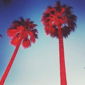 Image post by @ropethemoon on Instagram