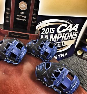 Image post by @hofstrasoftball on Instagram