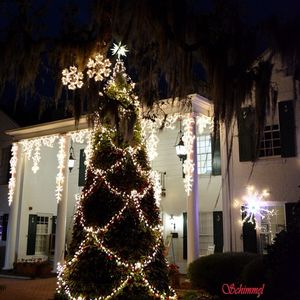 Image post by @visitsarasotacounty on Instagram