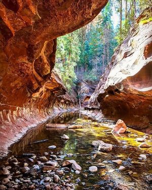 Image post by @nauflagstaff on Instagram