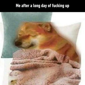 Image post by @9gag on Instagram