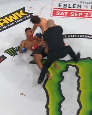 Image post by @bellatormma on Instagram