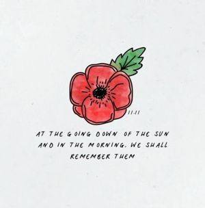 Image post by @envypillow on Instagram