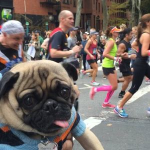 Image post by @nycmarathon on Instagram