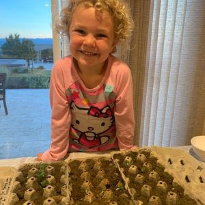 Image post by @kidsgardening on Instagram