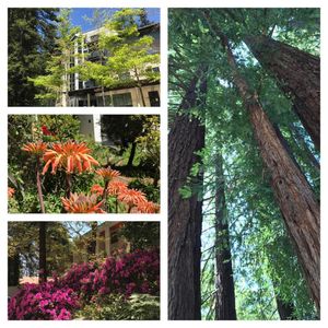 Image post by @ucsc on Instagram