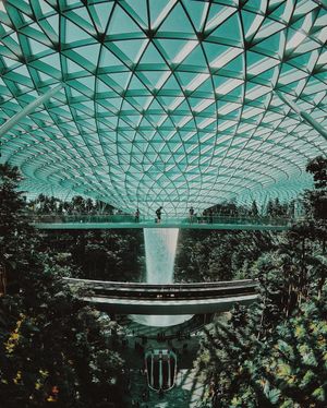 Image post by @moment on Instagram