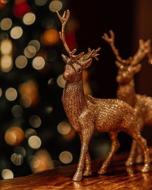 Image post by @hotelmadero on Instagram