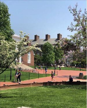 Image post by @udelaware on Instagram