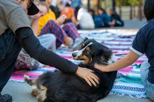 Image post by @ucscadmissions on Instagram