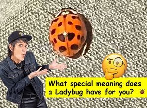 Image post by @warm1069 on Instagram