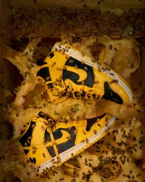 Image post by @succezzthestore on Instagram