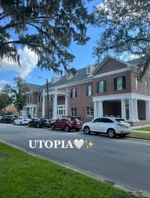 Image post by @ufalphaphi on TikTok