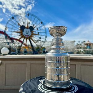 Image post by @anaheimducks on Instagram
